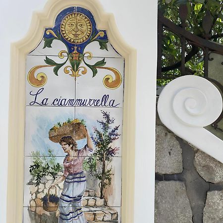 B&B La Ciammurrella Anacapri  Extérieur photo