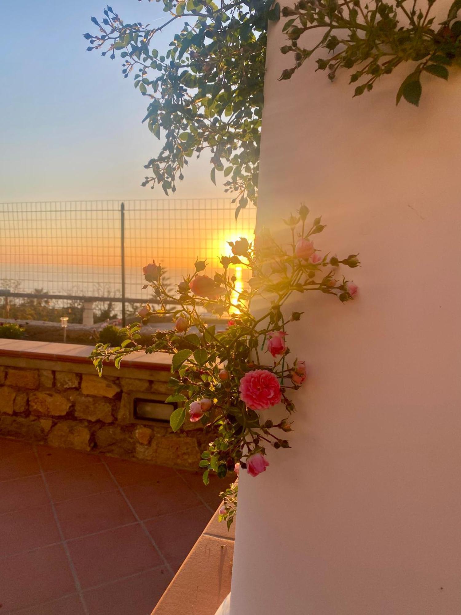 B&B La Ciammurrella Anacapri  Extérieur photo